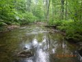 fowlers hollow.Laural run 06-09-14 100